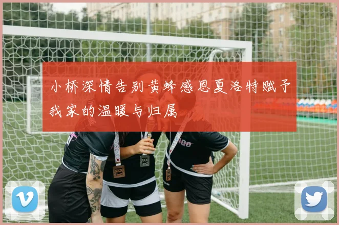 小桥深情告别黄蜂感恩夏洛特赋予我家的温暖与归属
